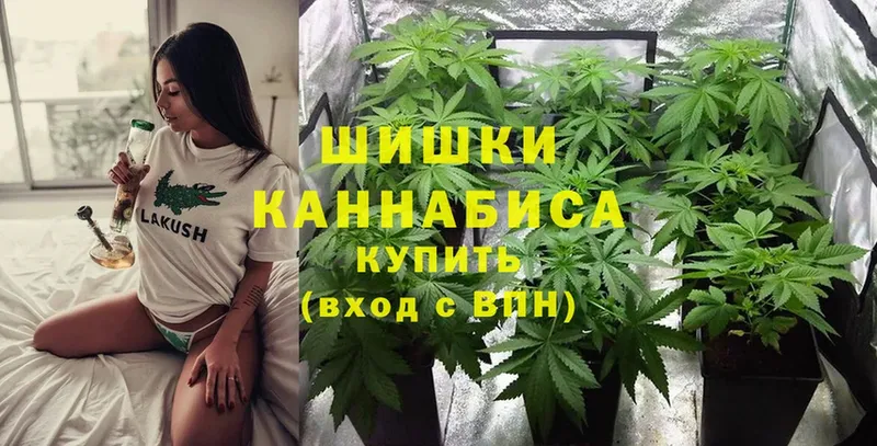 как найти   Инза  Каннабис Ganja 